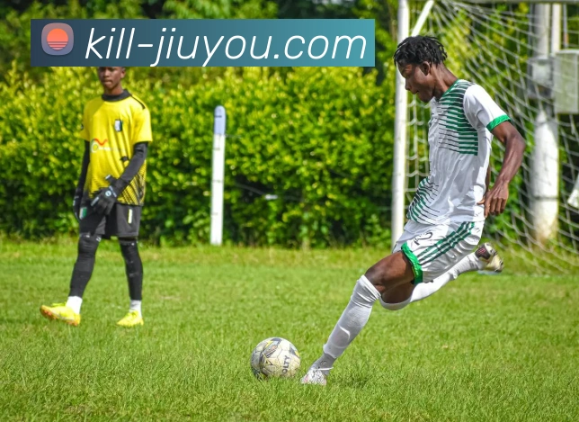 App Interface Preview